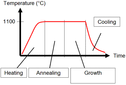 B1%20hBN%20growth%20process.gif