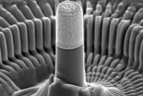 technoinfo_products_158_000_0000158_photos_5182260__
