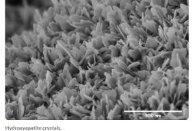 technoinfo_products_478_000_0000478_photos_7520508__