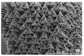 technoinfo_products_619_000_0000619_photos_6073608__