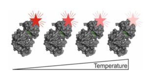 MicroScale Thermophoresis, Thermophoresis, Affinity, Molecular Interaction, Binding Strength, MST