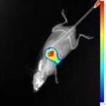 test xray nano reexc_HD_fusion