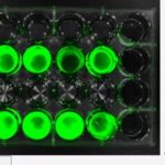 Система визуализации in vivo FOBI (CellGentek)