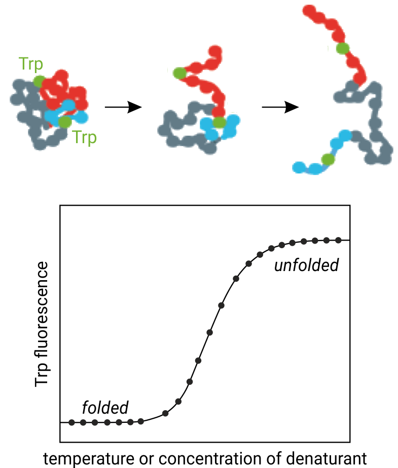 nanoDSF, Stability, Unfolding, Screening, Buffer