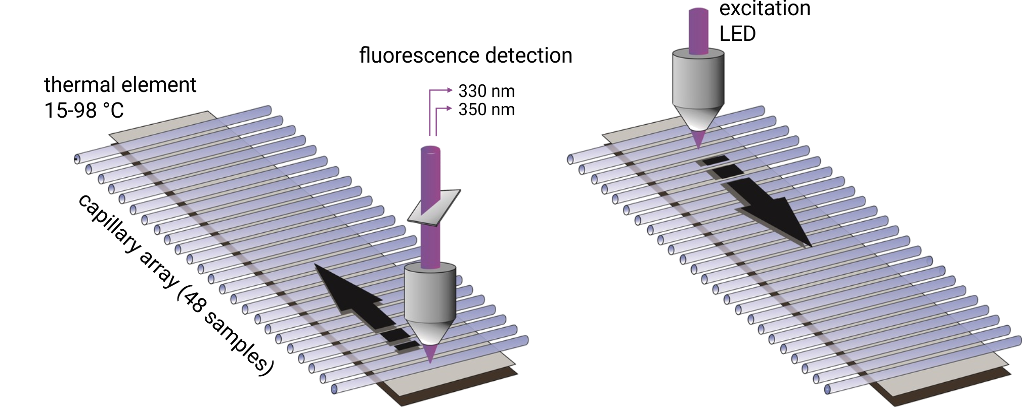 nanoDSF, Stability, Unfolding, Screening, Buffer