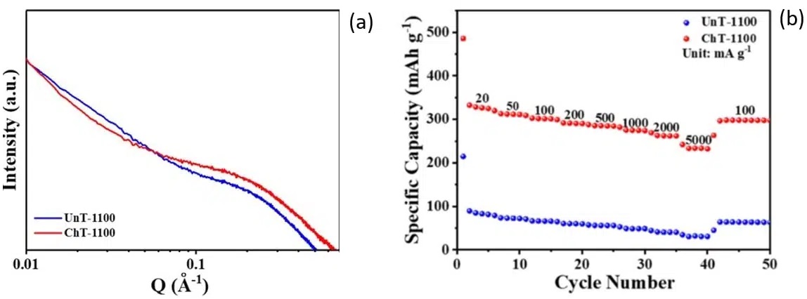 biomass_carbon_SAXS_capacity