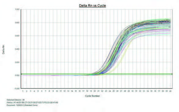 Raykol Vitae 100 result