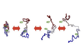 trp denaturation DSF